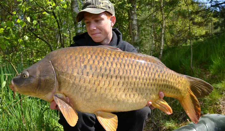 Spanilá jízda Kill Krillu