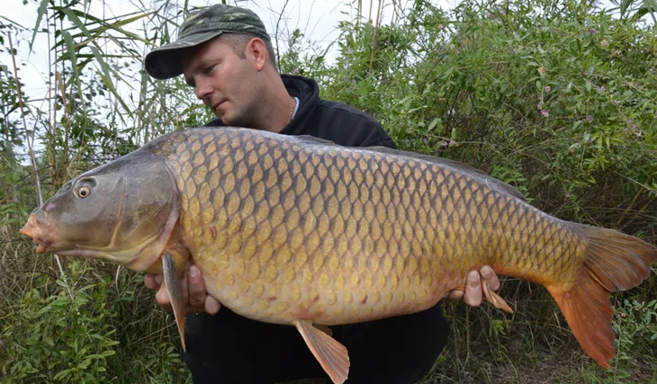 Kapitální kapři pod nohami