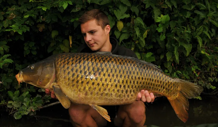 Pivo, pizza, kukurica!