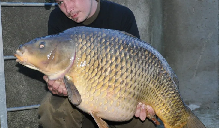 Ještě před třením