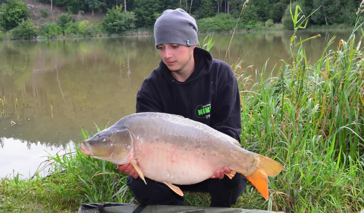 Asuán Junior Cup 2014