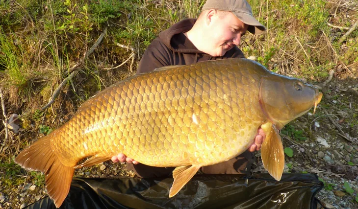 Trápenie ukončené