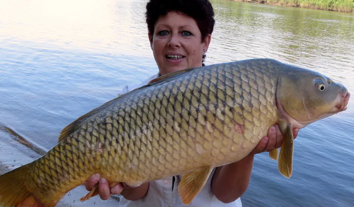 V zajetí přírody...