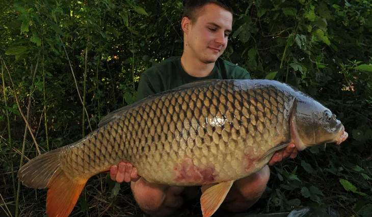 Dva měsíce poté...