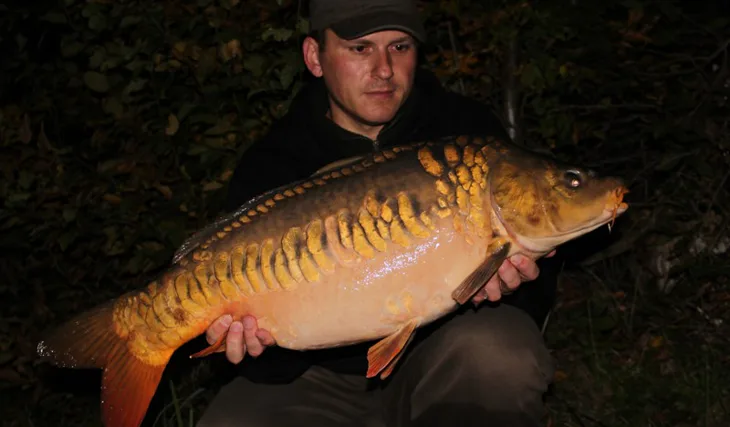 Honzova výprava do Rakouska