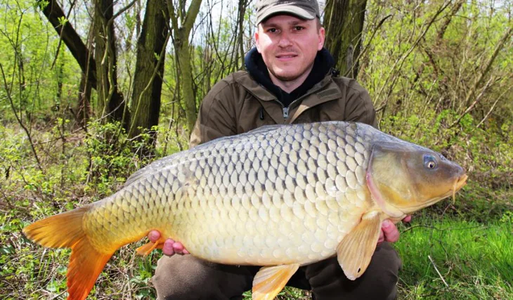 Dubnoví kapři z mělčin – část I.