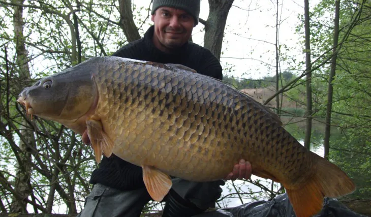 Kaprařské znovuzrození