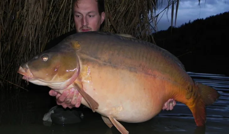 Na té švestce něco bude !