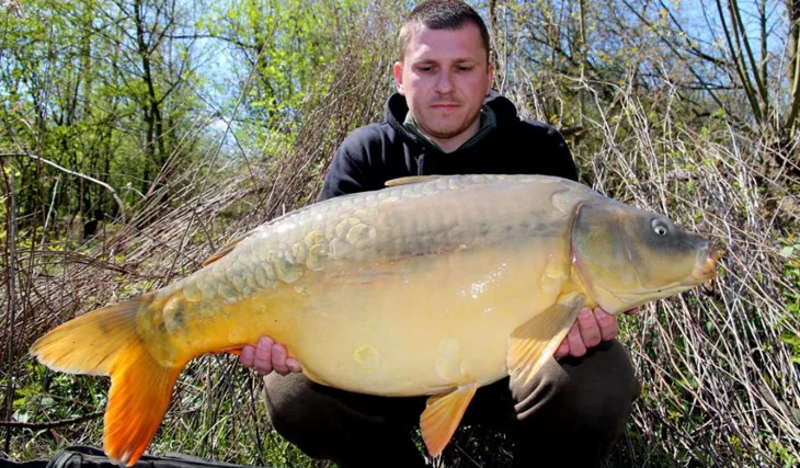 Dubnoví kapři z mělčin-část II.