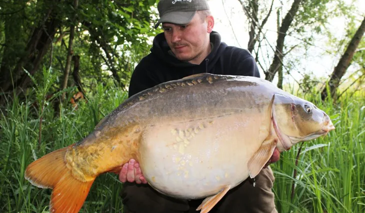 3 květnové dny v rákosí