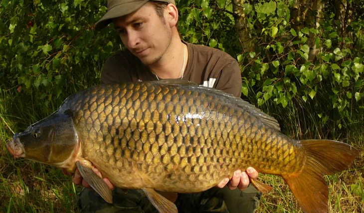 Narozeninová tadice