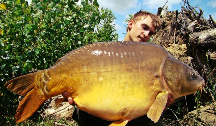 Dôslednosť sa vypláca