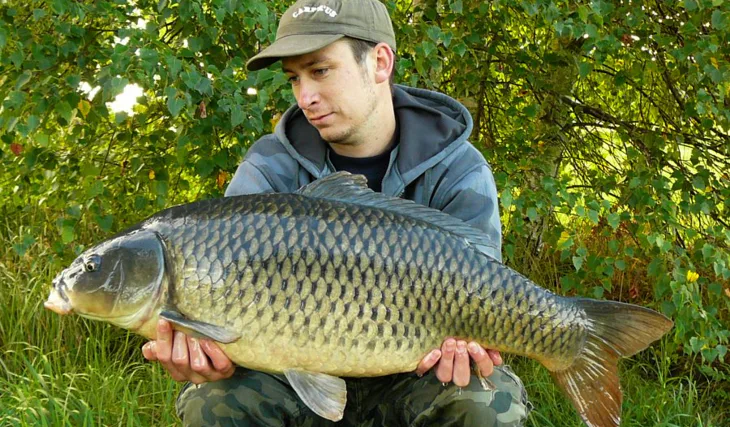 Odměna za čekání