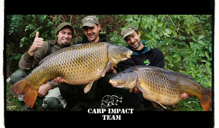 Šupinatý král Kuba