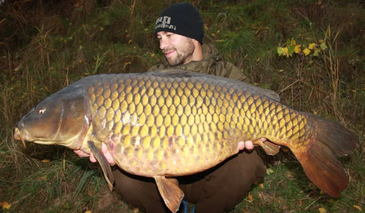 Vlastův konec roku 2015