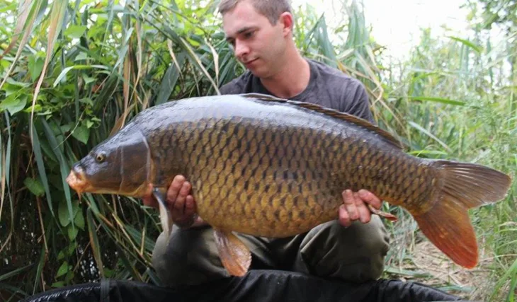 Rudovo podzimní putování