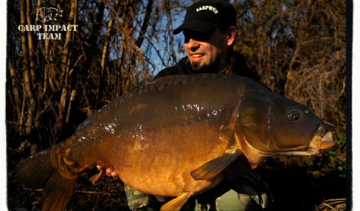 Klenot v podobě tmavého lysce