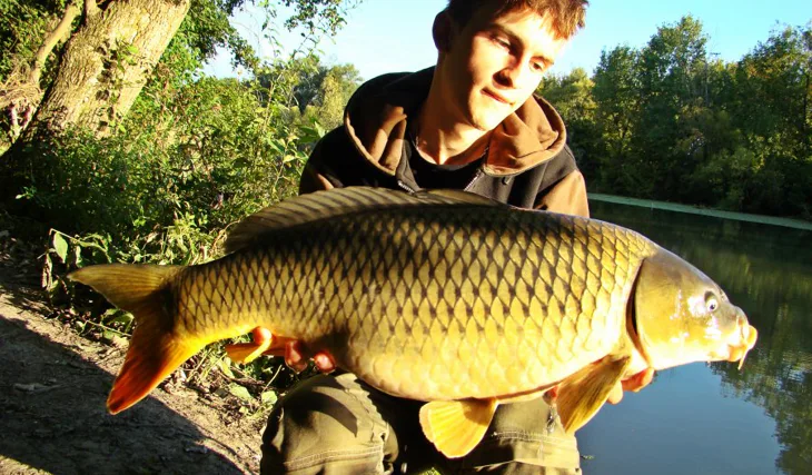 Úlomky z Malého dunaja