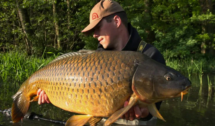 Kill Krill, jasná volba