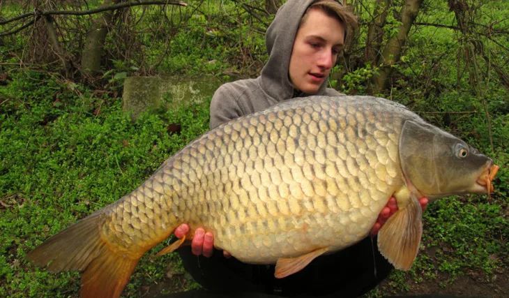 Dubnová labská série