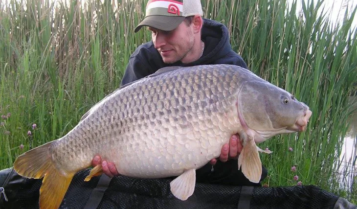 Robertova krátká vycházka