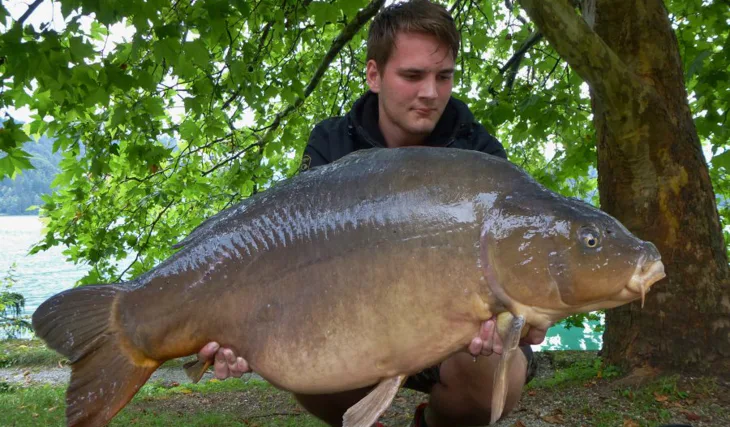 Průzračné jezero Bled