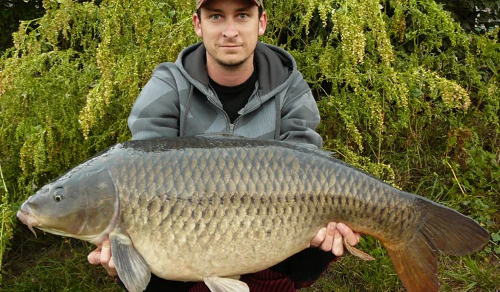 Karel Nikl - Nielbaits