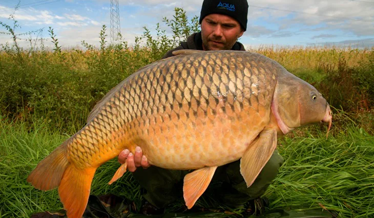 Martinova skvělá vycházka