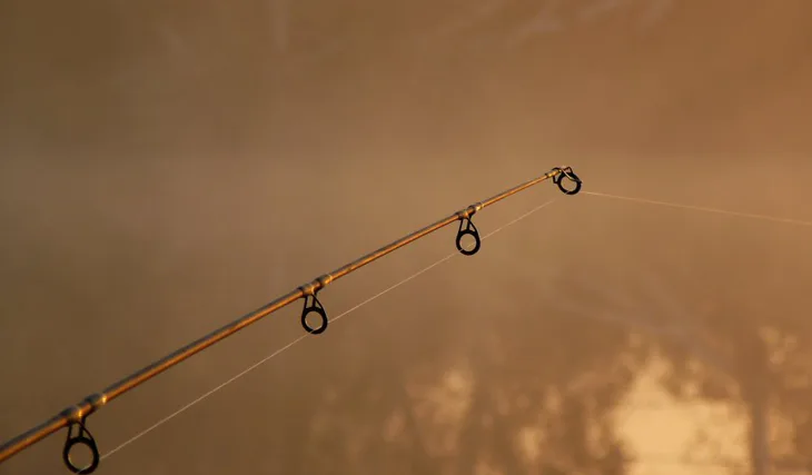 Kaprařina jak ji neznáte