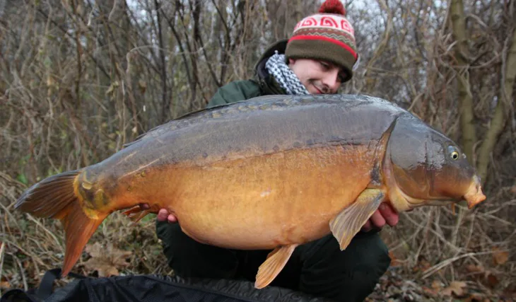 Tomášův prosinec, č.1