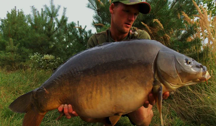 O krok zpět do sezóny 2016!