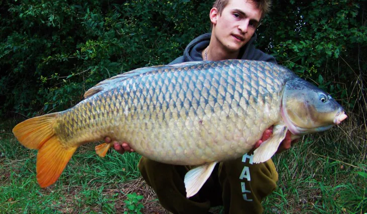 Od nikiaľ a z miest kde nie sú ryby