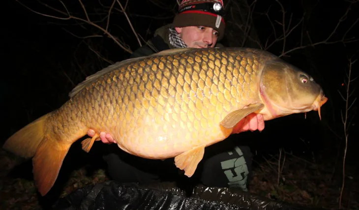 Naposledy v roce 2016