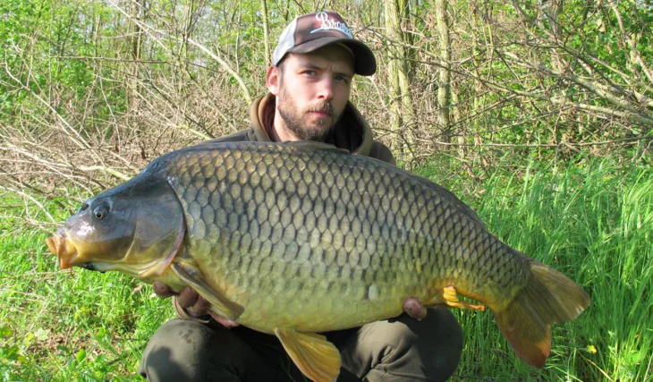 Proudnější část řeky