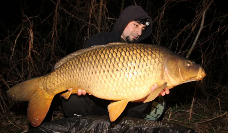 Tomkovo jaro, část.2