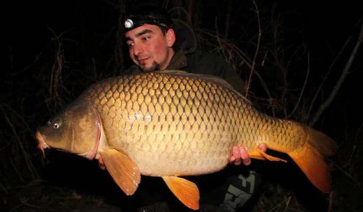 Tomkovo jaro, část 3