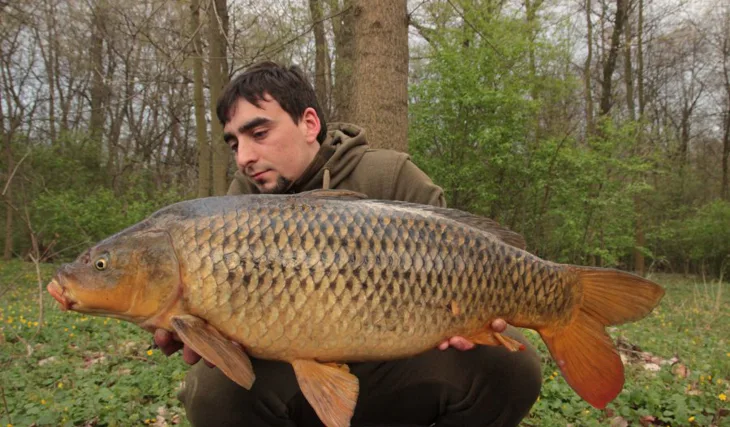 Tomkova labská série pokračuje