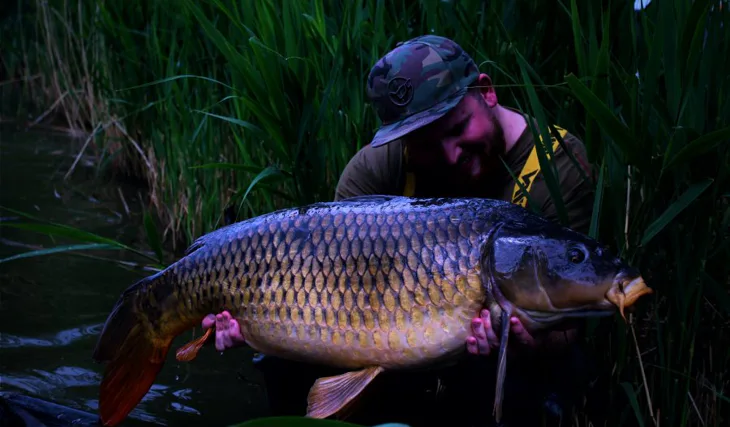 Vytrvalost přináší růže!