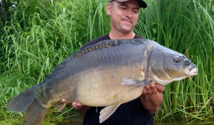 Po tření – Yellow Bulldogs