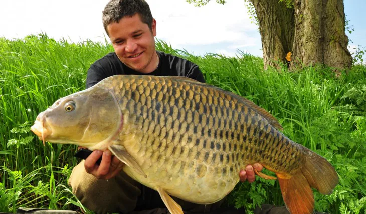 Scopexovo labské tažení pokračuje