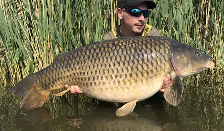 Carpkiller s Extasy!