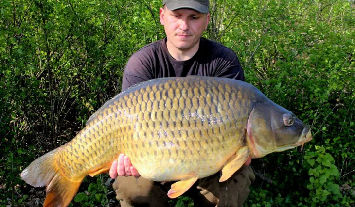 Opakované setkání