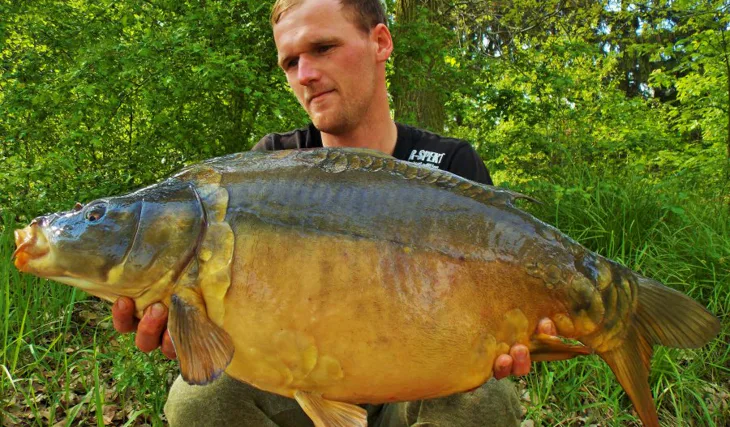 První lysci z trav!