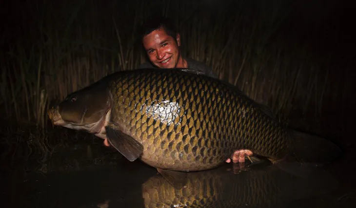 První úspěchy s Magnusem