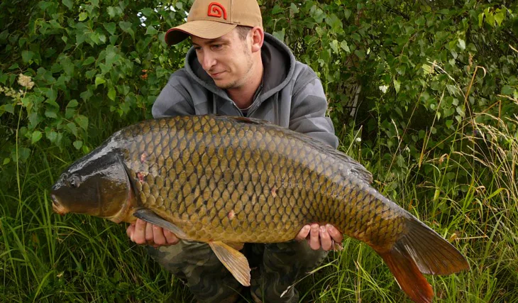 Kapr s vůní benzínu