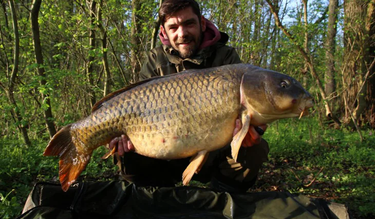 Bizonovy krátké vycházky