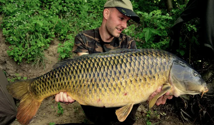 Červencová týdenní výprava