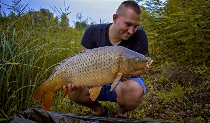 Gigantica v akci