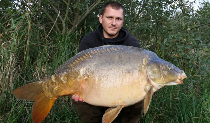 Odpolední rychlovka