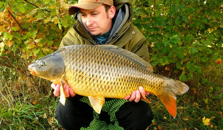 Testovací rychlovka